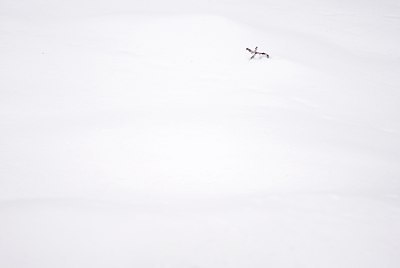 BUITEN BEELD Foto: 78882
