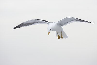 BUITEN BEELD Foto: 78897