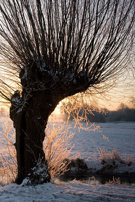 BUITEN BEELD Foto: 78908