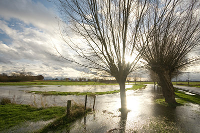 BUITEN BEELD Foto: 78914