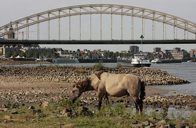 BUITEN BEELD Foto: 78918