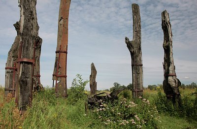 BUITEN BEELD Foto: 78931
