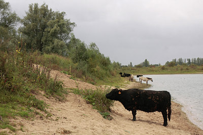 BUITEN BEELD Foto: 78938