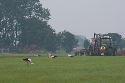 BUITEN BEELD Foto: 78942