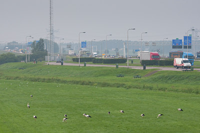 BUITEN BEELD Foto: 78945
