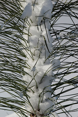 BUITEN BEELD Foto: 78955