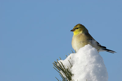 BUITEN BEELD Foto: 78960