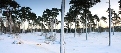 BUITEN BEELD Foto: 78993