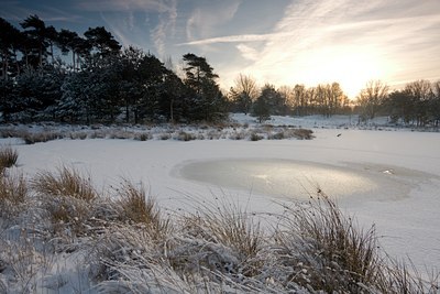 BUITEN BEELD Foto: 78995