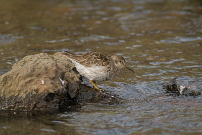 BUITEN BEELD Foto: 7035