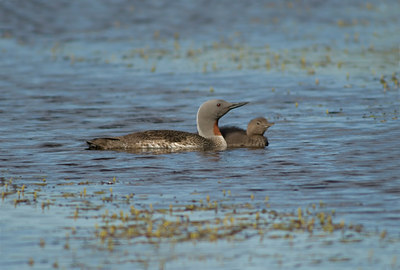 BUITEN BEELD Foto: 7054