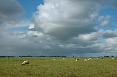 BUITEN BEELD Foto: 7081