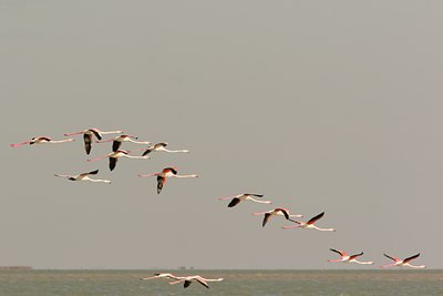 BUITEN BEELD Foto: 7135