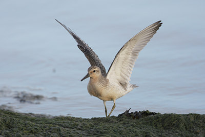 BUITEN BEELD Foto: 7152