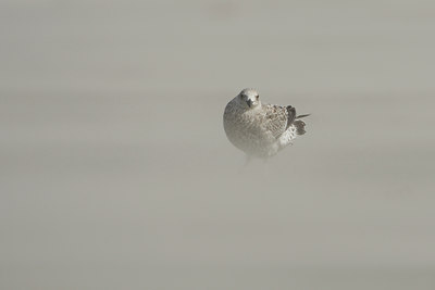 BUITEN BEELD Foto: 7174