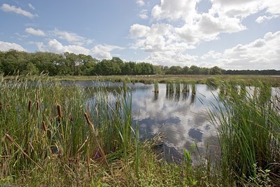 BUITEN BEELD Foto: 7242