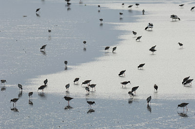 BUITEN BEELD Foto: 7311