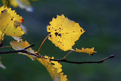 BUITEN BEELD Foto: 7328