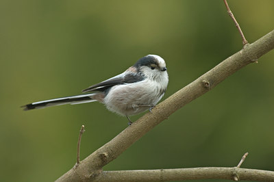 BUITEN BEELD Foto: 7349