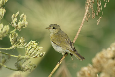 BUITEN BEELD Foto: 7353