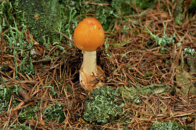 BUITEN BEELD Foto: 7378