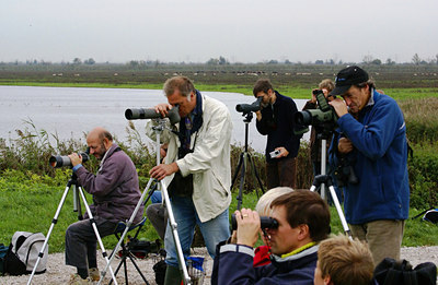 BUITEN BEELD Foto: 7388