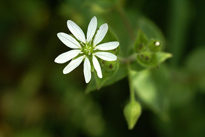 BUITEN BEELD Foto: 7391