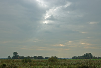 BUITEN BEELD Foto: 7469
