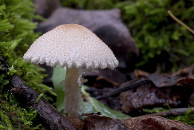 BUITEN BEELD Foto: 7509