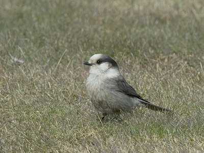 BUITEN BEELD Foto: 7525
