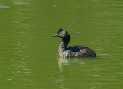 BUITEN BEELD Foto: 7526