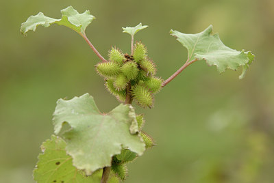 BUITEN BEELD Foto: 7618