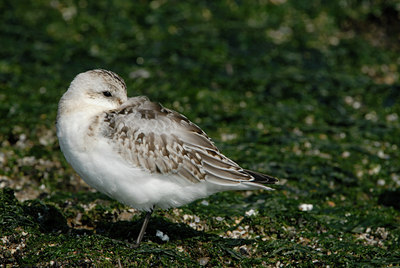 BUITEN BEELD Foto: 7628