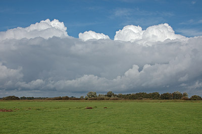 BUITEN BEELD Foto: 7711