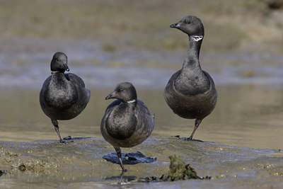 BUITEN BEELD Foto: 7759