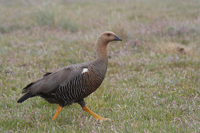 BUITEN BEELD Foto: 7776