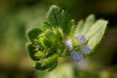 BUITEN BEELD Foto: 7785