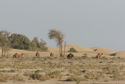 BUITEN BEELD Foto: 7833