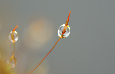 BUITEN BEELD Foto: 7923