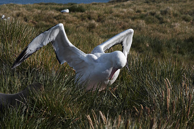 BUITEN BEELD Foto: 7969
