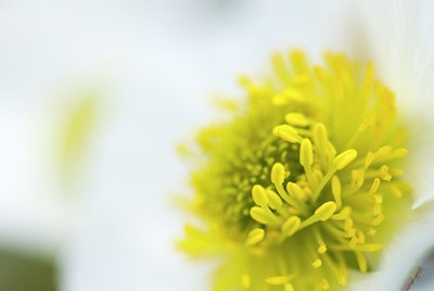 BUITEN BEELD Foto: 79046