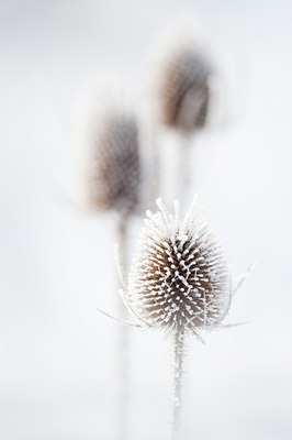 BUITEN BEELD Foto: 79091