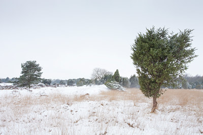 BUITEN BEELD Foto: 79097