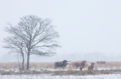 BUITEN BEELD Foto: 79106