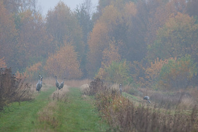 BUITEN BEELD Foto: 79115