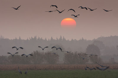 BUITEN BEELD Foto: 79118