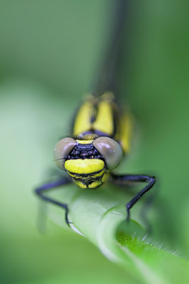 BUITEN BEELD Foto: 79127