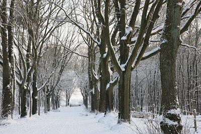 BUITEN BEELD Foto: 79155