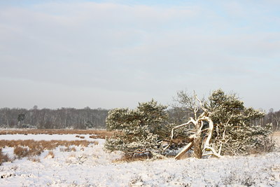 BUITEN BEELD Foto: 79156