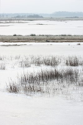 BUITEN BEELD Foto: 79162